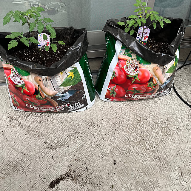 kikoさんの実例写真