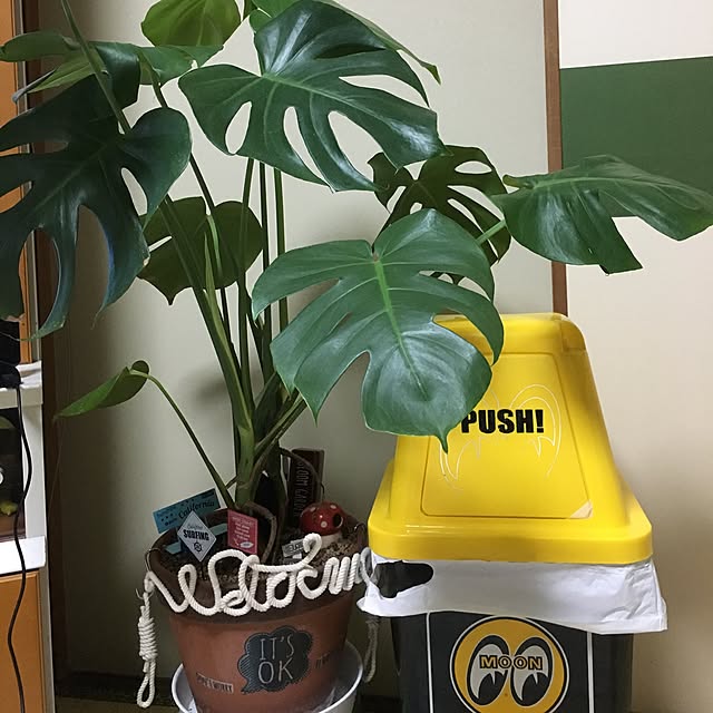 ugigoさんの実例写真