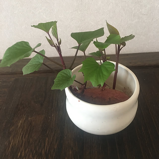 BA-kuraiさんの部屋