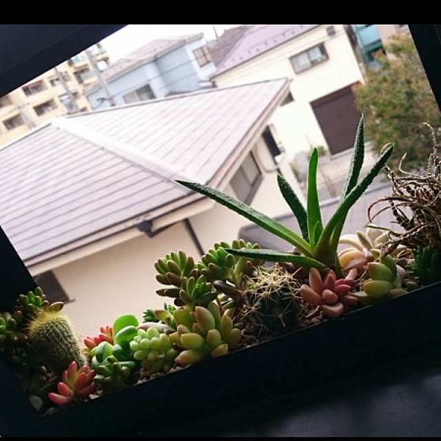実例写真