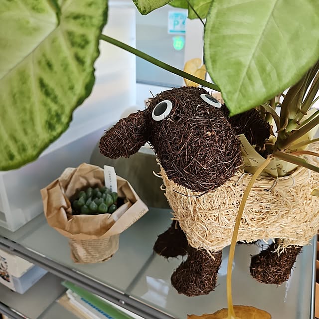 ponkichiさんの実例写真