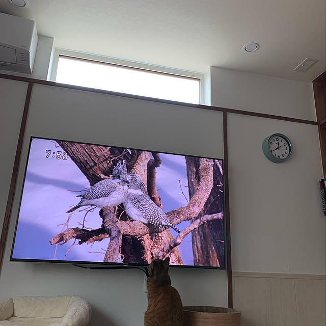 mikeume7さんの実例写真
