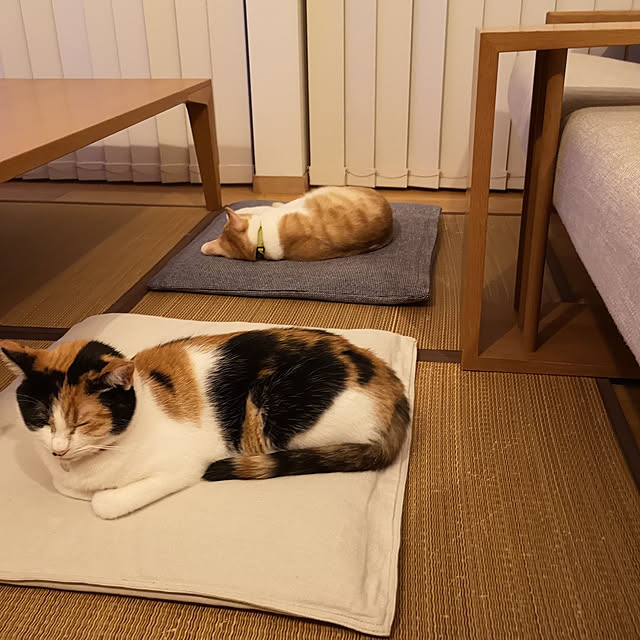 koyurizuさんの実例写真