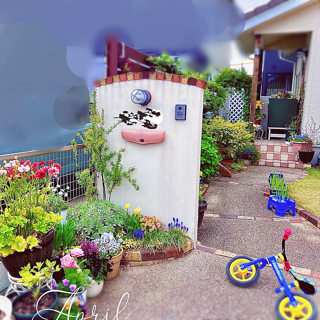 hinamamaさんの実例写真