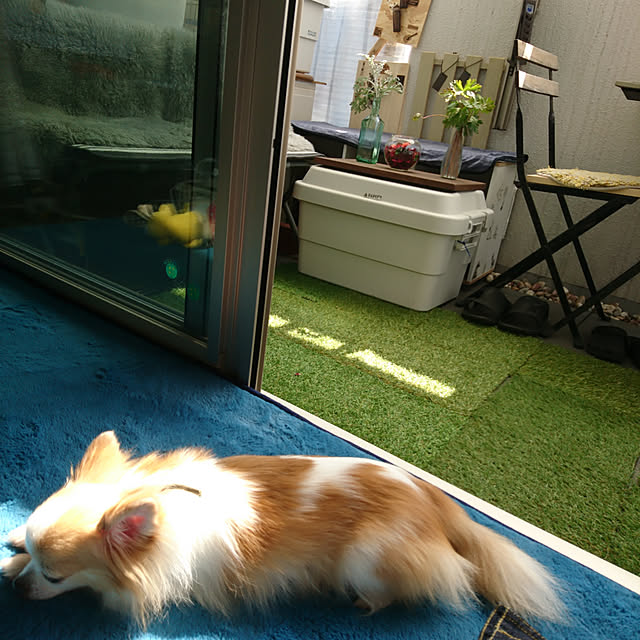 porinさんの実例写真