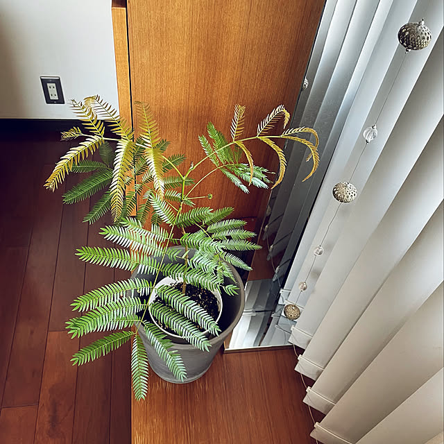 HKSさんの実例写真