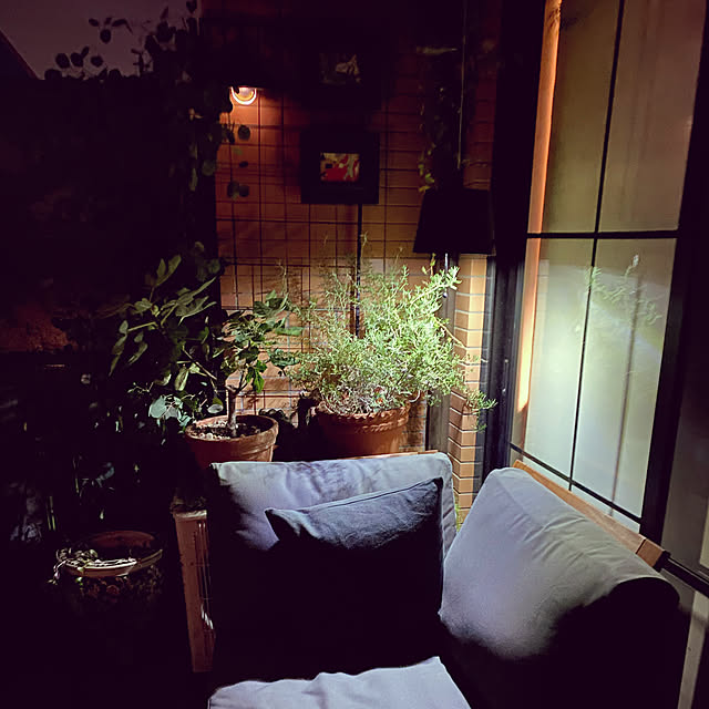 amyさんの実例写真