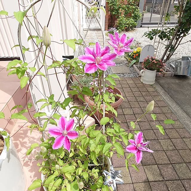 fleur-mamanさんの部屋