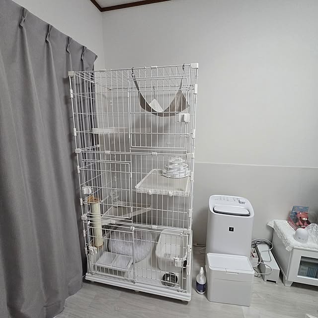 Pandoraさんの実例写真