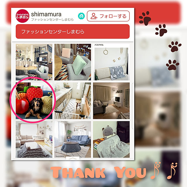 momozouさんの実例写真