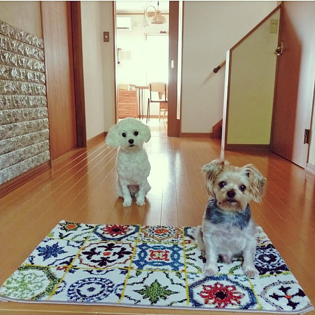 marcheさんの実例写真