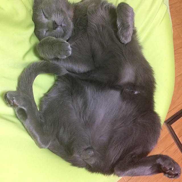 Yumikoさんの実例写真