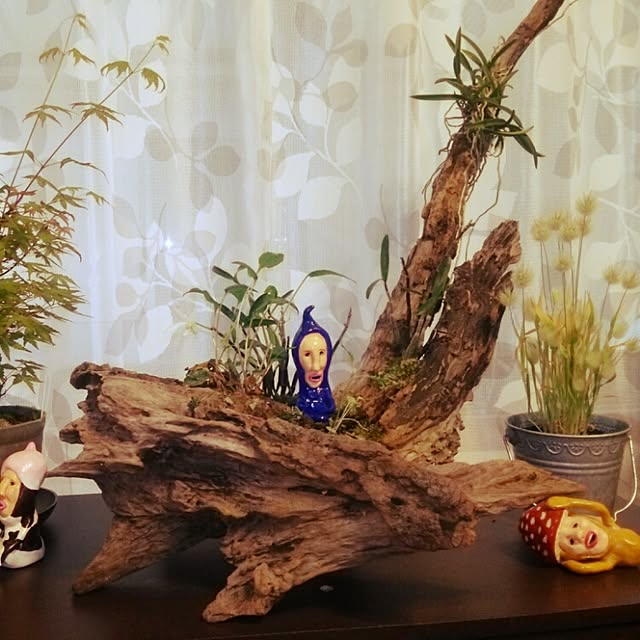 hosiimoさんの実例写真