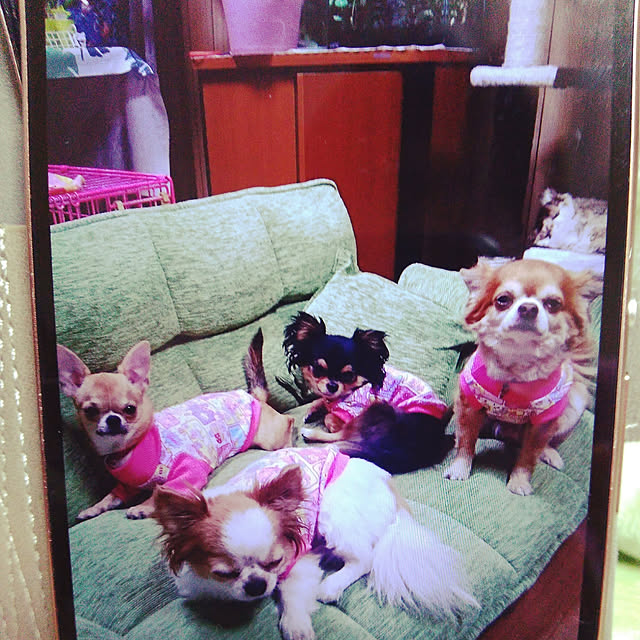 sueponさんの実例写真