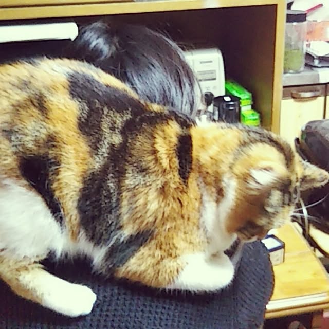 yukieさんの実例写真