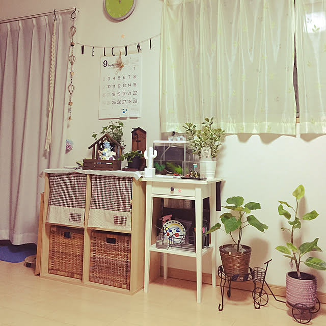 ma-risoさんの実例写真