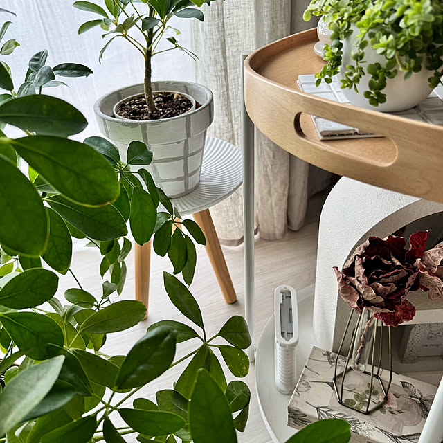 yuri.sさんの実例写真