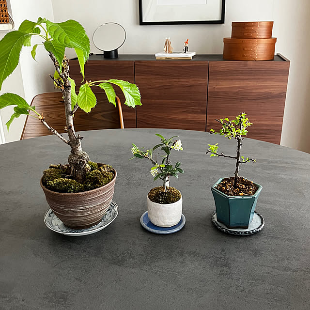 meyusaさんの実例写真