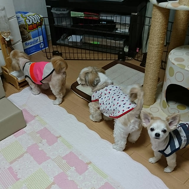 ronさんの実例写真