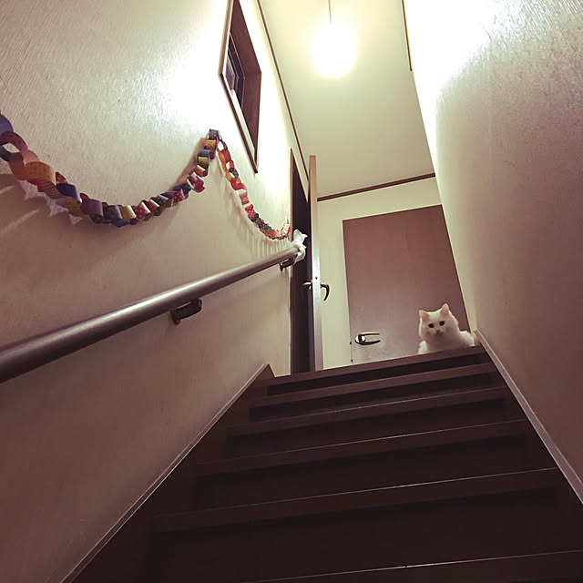 RICOさんの実例写真