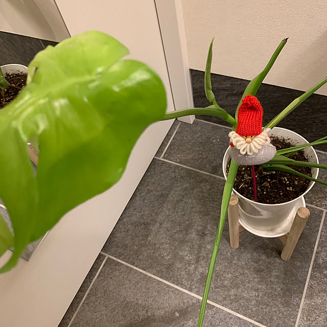 h_home.hさんの実例写真