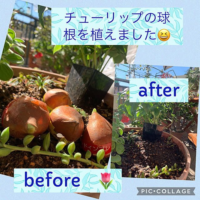 Aqettyさんの部屋
