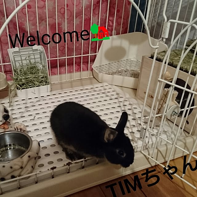 hidemomさんの実例写真