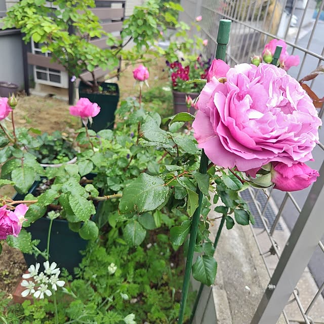 moonさんの部屋