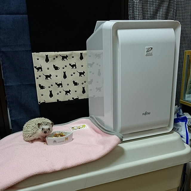 Reikomさんの実例写真