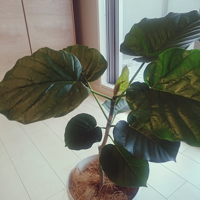 hanacocoさんの実例写真