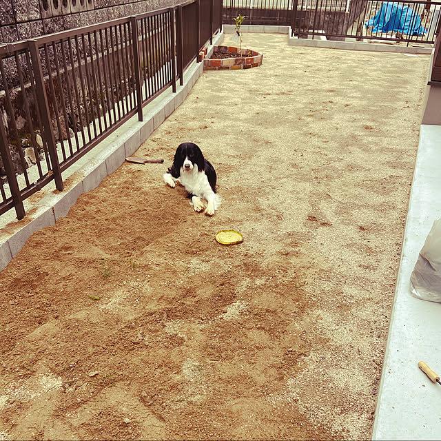 yuki_さんの実例写真