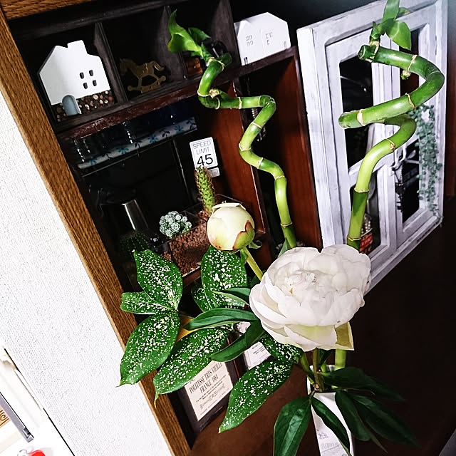 todorinkoさんの実例写真