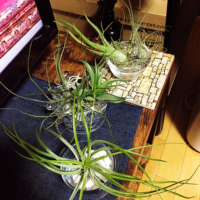takuto.hamuraさんの実例写真