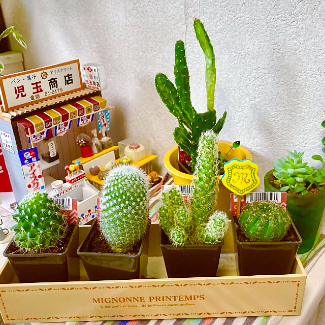 takakoさんの実例写真