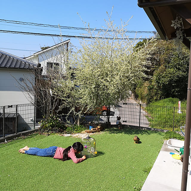 akiさんの実例写真