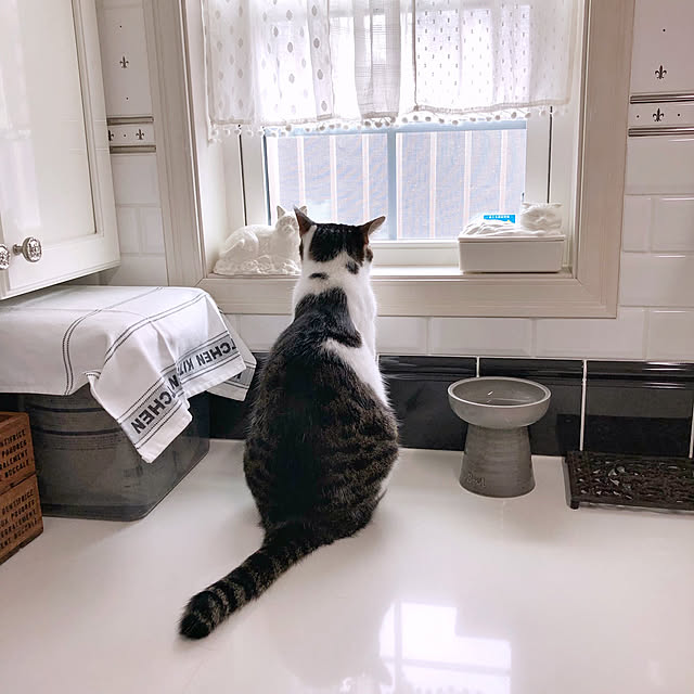 yuchiさんの実例写真