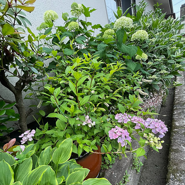 buchiさんの部屋
