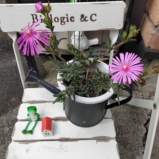 kiraさんの部屋