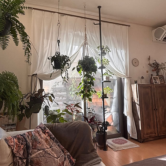 greycatsさんの実例写真