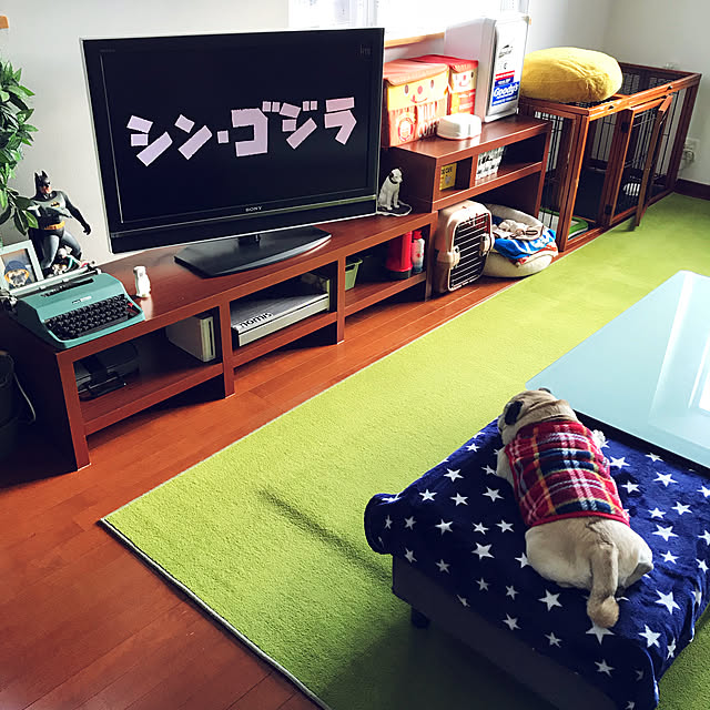 kellyさんの実例写真