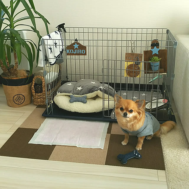 kojikojiさんの実例写真