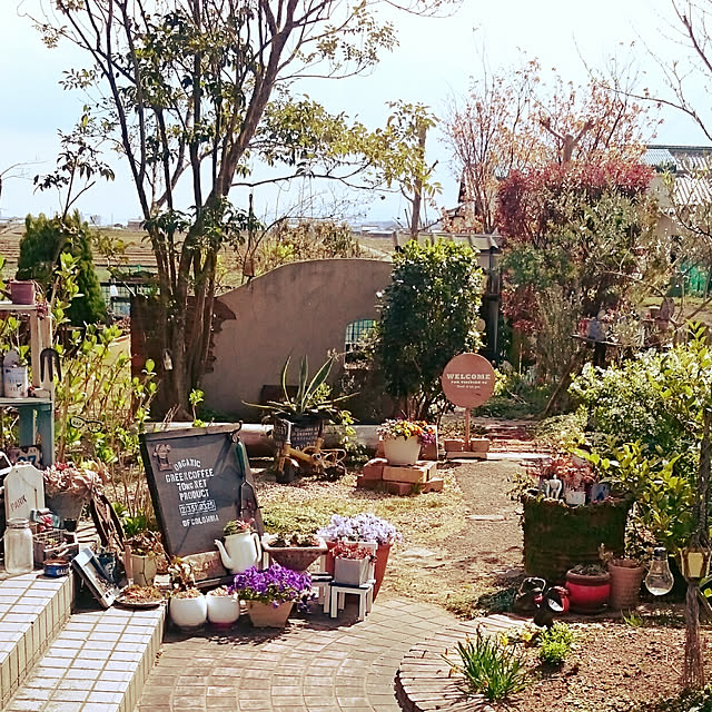 highig16さんの実例写真