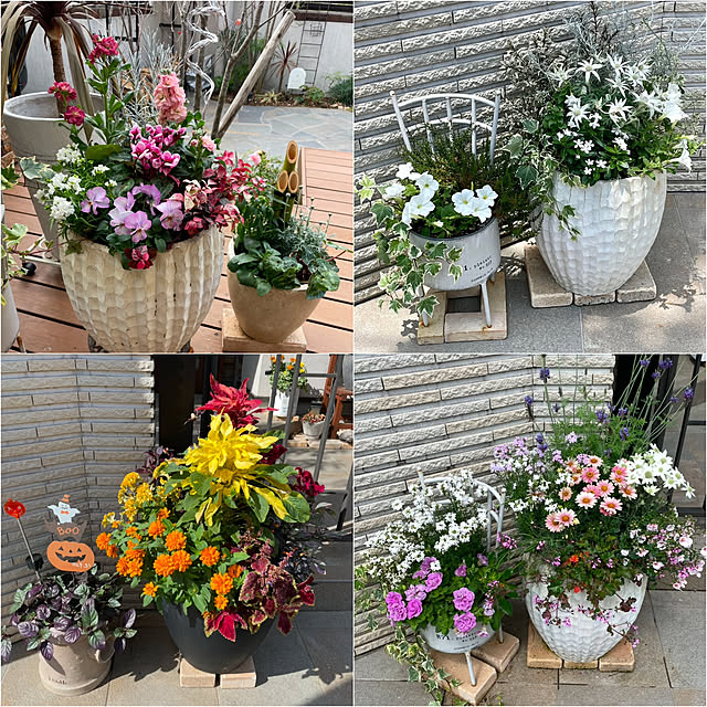 maimai0110さんの部屋