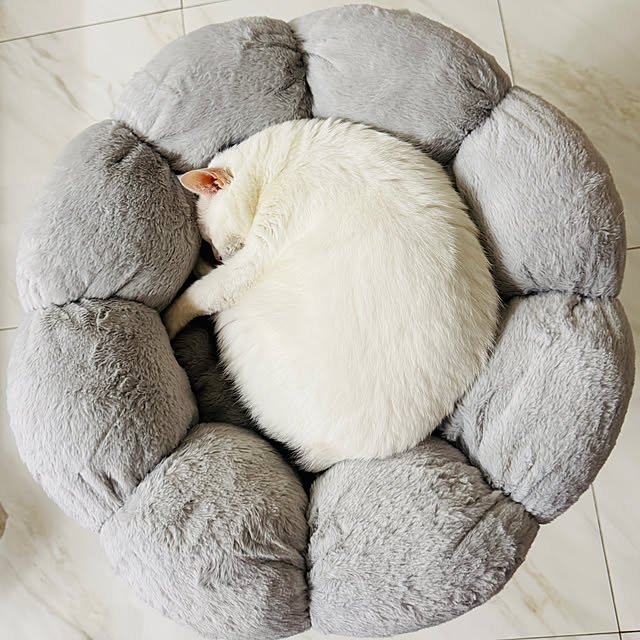 pcu110さんの部屋