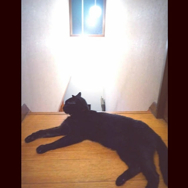 aromameさんの実例写真