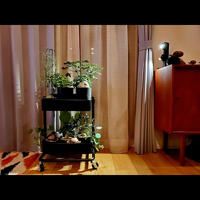chandong777さんの実例写真