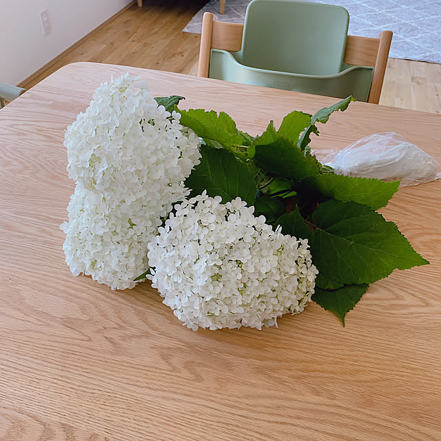 suzumaruさんの部屋