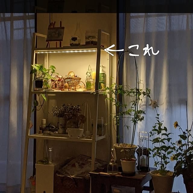mi-saさんの部屋
