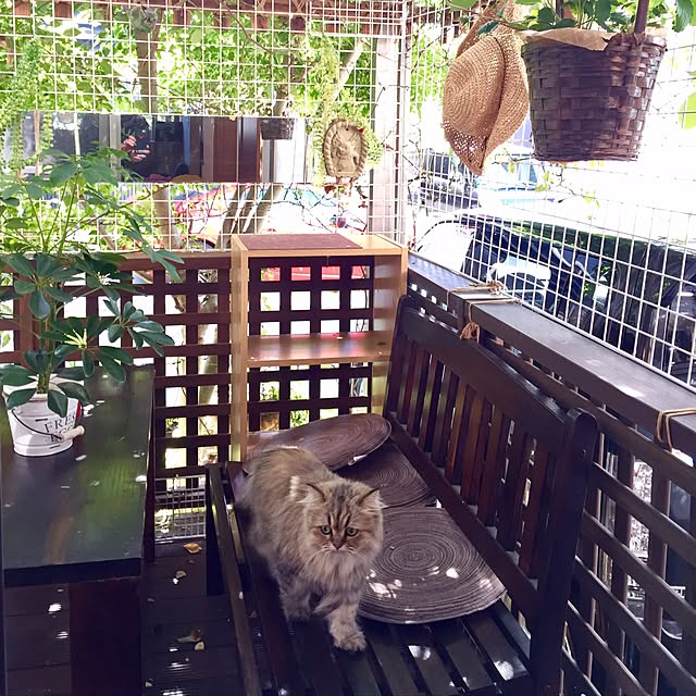 butachanさんの実例写真