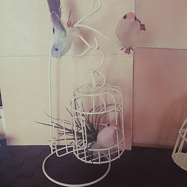 myu_cosmosさんの実例写真
